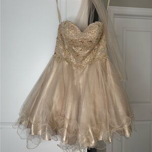 Sparkle Champagne Dress with Hand beaded Bodice